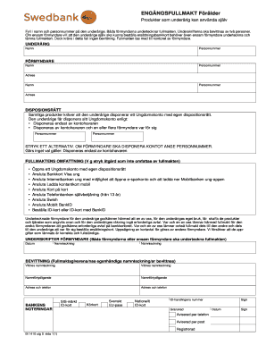 Minor Power of Attorney for Bank Services