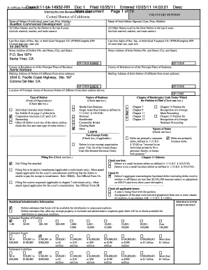 US Bankruptcy Voluntary Petition Form