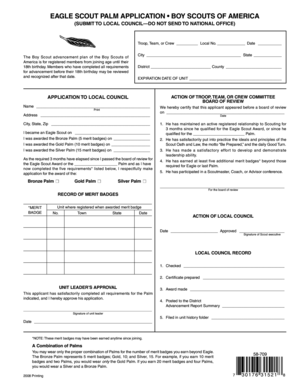 Eagle Scout Palm Application
