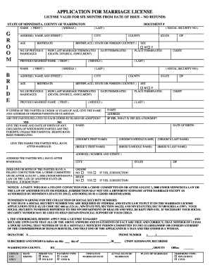 Minnesota Marriage License Application