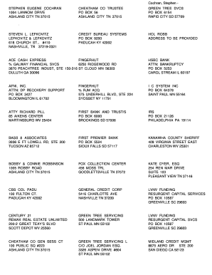 US Bankruptcy Court Voluntary Petition