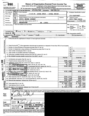 IRS Form 990 2009