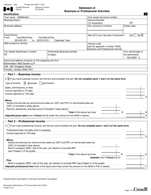 Canada Business or Professional Activities Statement