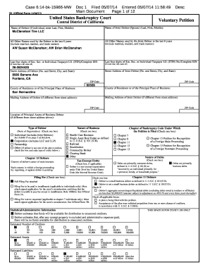 US Bankruptcy Voluntary Petition