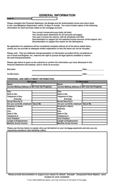 Financial Statement for Loan Assistance