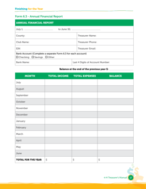 Annual Financial Report Form 6.3