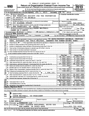 IRS Form 990 2013