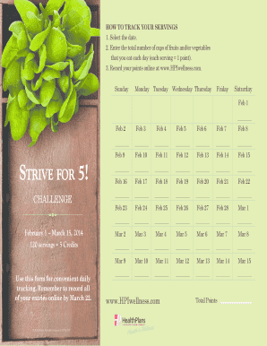 Healthy Eating Challenge Tracker