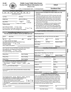 Form preview picture