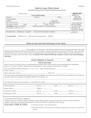 Form preview picture