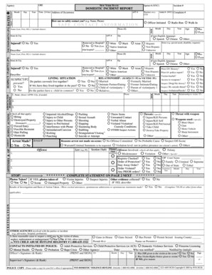 New York State Domestic Incident Report