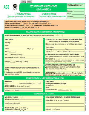 DECLARATION DE DEBUT D'ACTIVITE AGENT COMMERCIAL