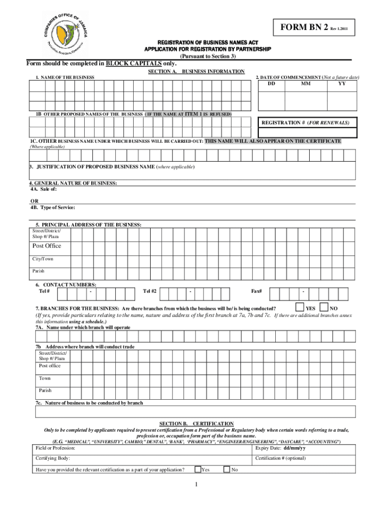 BN 2 FORM Rev 01 2011 Preview on Page 1