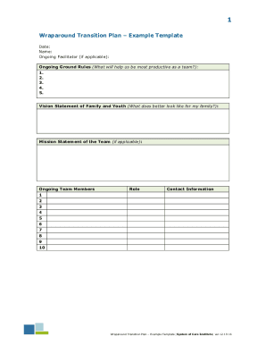 Wraparound Transition Plan Example Template