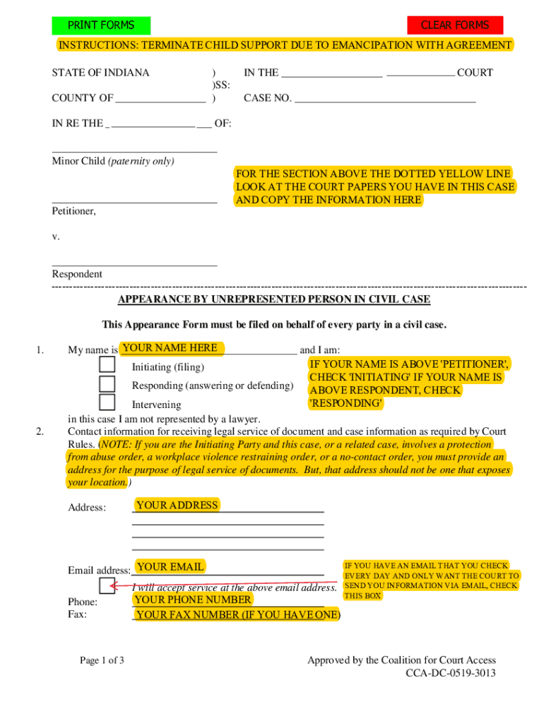 Form preview