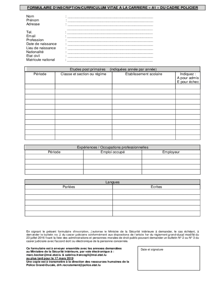 Form preview