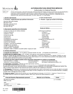 Carta de AutorizacinEjemplos, Formatos2022 Word, PDF