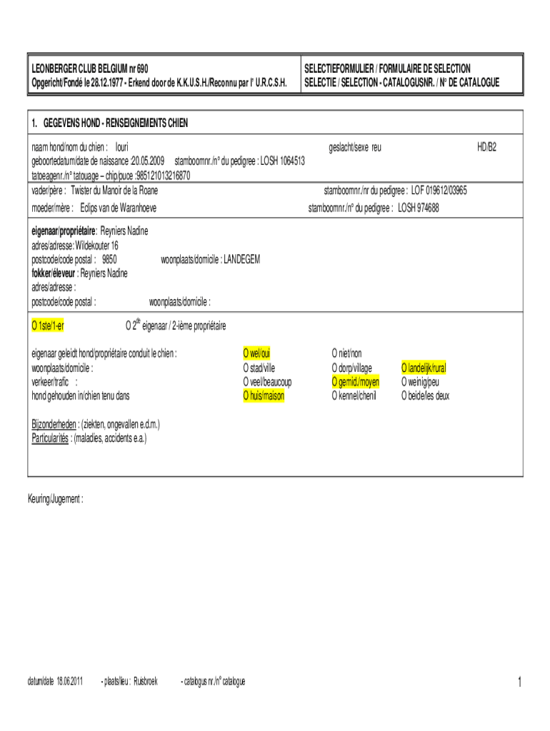 Form preview