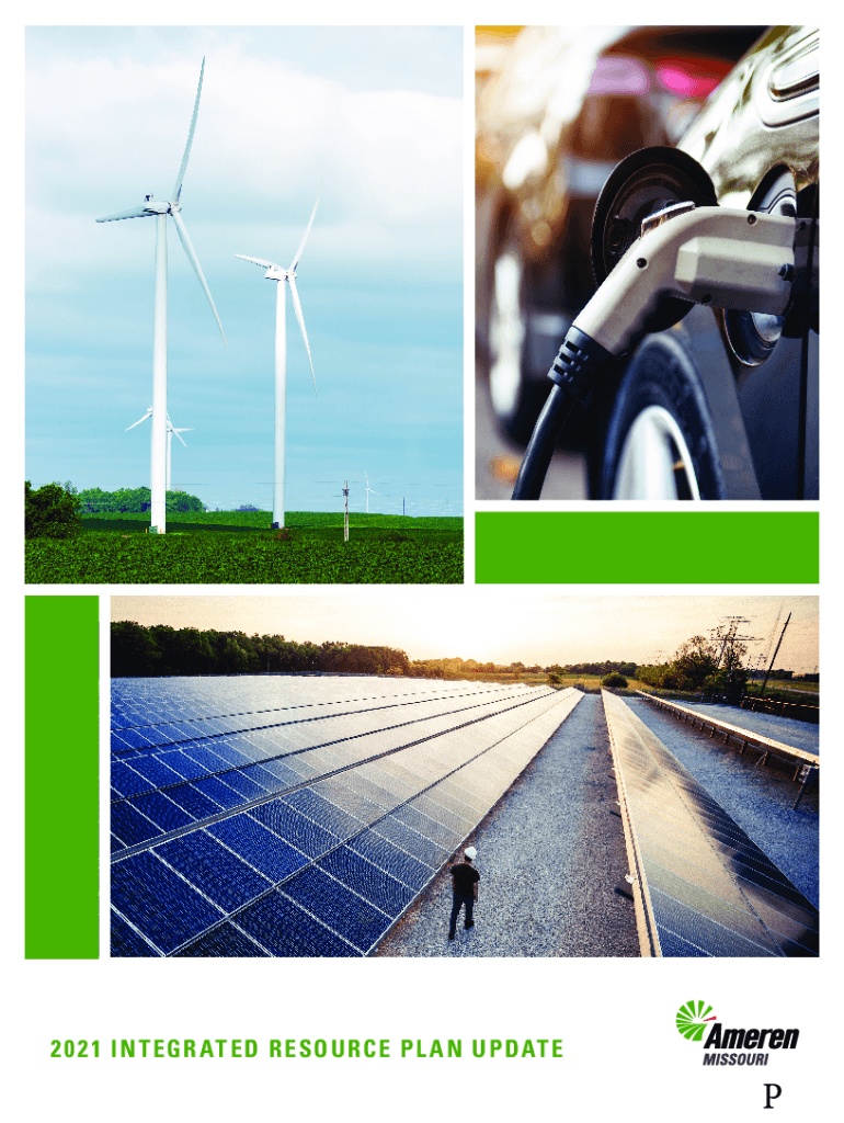 Fillable Online 9.Integrated Resource Plan and Risk Analysis Ameren