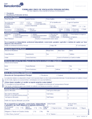 Formato De Vinculacion Y Solicitud De Credito Persona ...