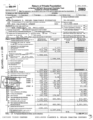 Form 990-PF 2003