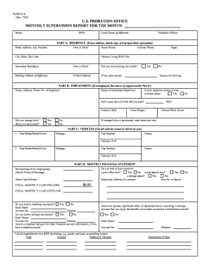 US Probation Monthly Supervision Report
