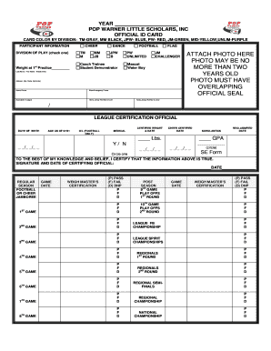 Form preview picture