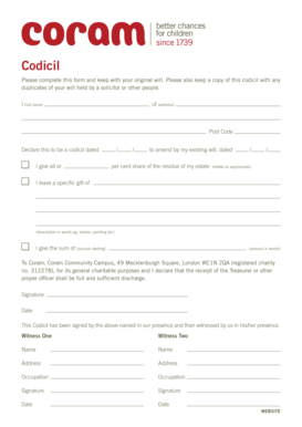 Codicil to Will Form