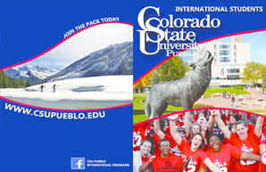International Student Financial Statement