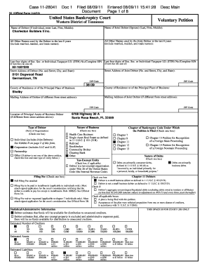 US Bankruptcy Court Voluntary Petition