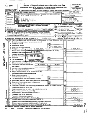 IRS Form 990