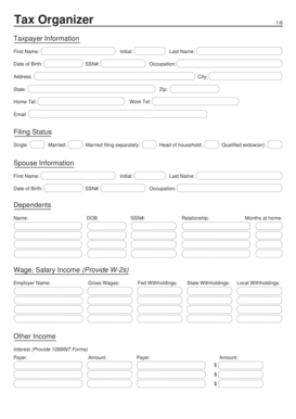 US Federal Tax Organizer Form