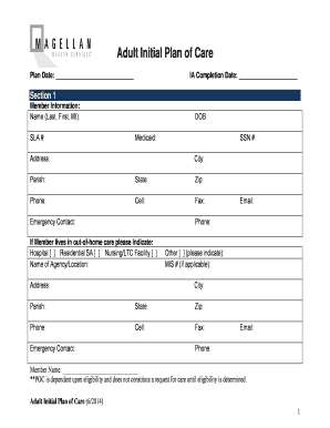 Adult Initial Plan of Care