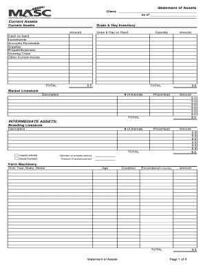 Statement of Assets Form