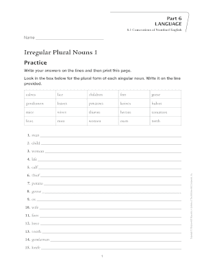 Irregular Plural Nouns Worksheet