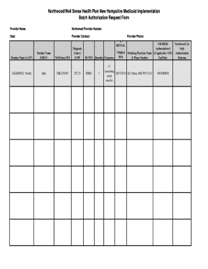 New Hampshire Medicaid Batch Authorization Request Form