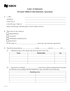 Personal Affidavit and Indemnity Agreement