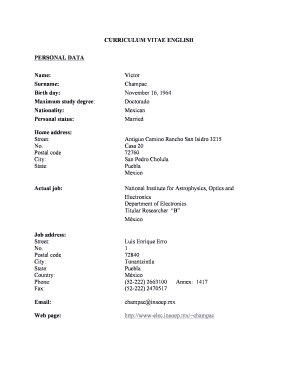 Curriculum Vitae Template