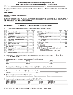 Youth Chemical Dependency Evaluation Form