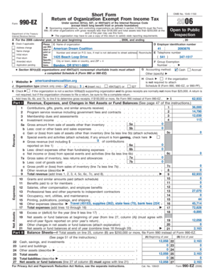 Form 990-EZ 2006