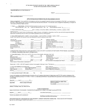 Application for Determination of Civil Indigent Status