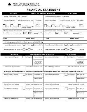 Financial Statement for Loan Application