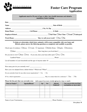 Foster Care Program Application