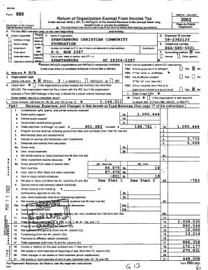 Form 990 2002