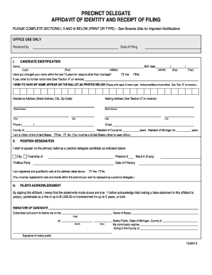 Precinct Delegate Affidavit of Identity