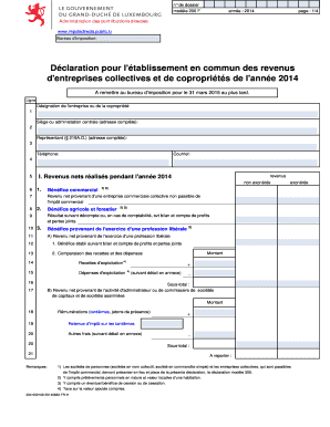 Déclaration pour l'établissement en commun des revenus d'entreprises collectives et de copropriétés de l'année 2014