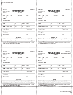 Michigan Pistol Sales Record