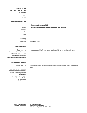 European Curriculum Vitae Format