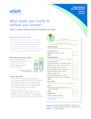 Group Voluntary Term Life Insurance Employee Purchase
