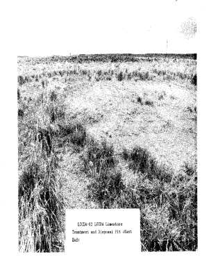 LCCDA-02 LCCDA Limestone Treatment and Disposal Pit tEast End)